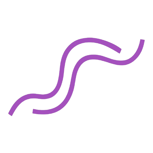 Plum Creek Educational Consulting